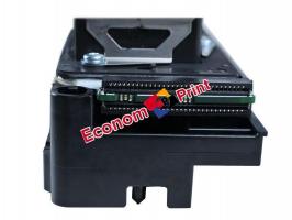 Печатающая головка F160000 для Epson Stylus Pro 4400 купить в Киеве