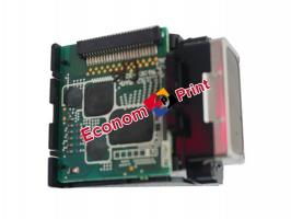 Печатающая головка F055100 для Epson Stylus Pro 5000 купить в Киеве
