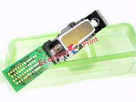 Печатающая головка F086051 для Epson Stylus Pro 10600 купить в Киеве