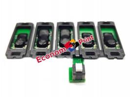 Чипы СНПЧ Чип СНПЧ для Epson Stylus Office B1100 купить в Киеве